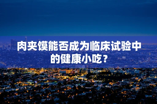 肉夹馍能否成为临床试验中的健康小吃？