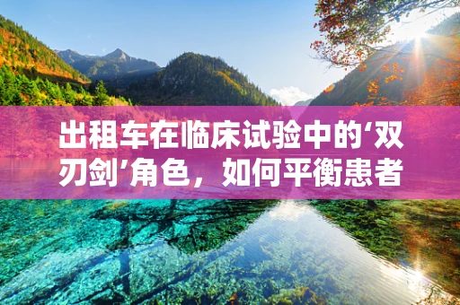 出租车在临床试验中的‘双刃剑’角色，如何平衡患者接送与隐私保护？