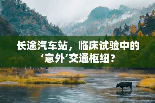 长途汽车站，临床试验中的‘意外’交通枢纽？
