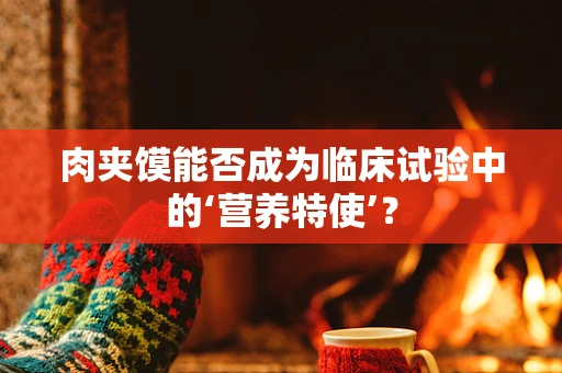 肉夹馍能否成为临床试验中的‘营养特使’？