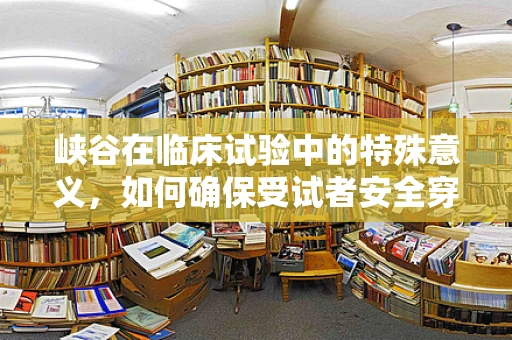 峡谷在临床试验中的特殊意义，如何确保受试者安全穿越数据峡谷？