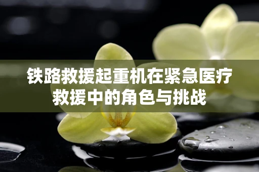 铁路救援起重机在紧急医疗救援中的角色与挑战
