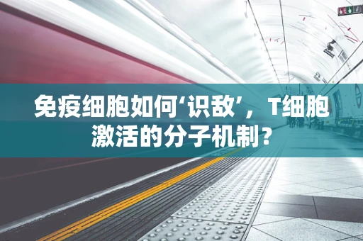 免疫细胞如何‘识敌’，T细胞激活的分子机制？
