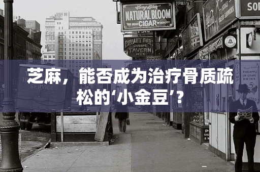 芝麻，能否成为治疗骨质疏松的‘小金豆’？