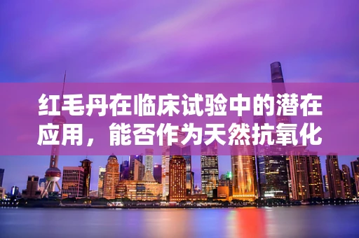 红毛丹在临床试验中的潜在应用，能否作为天然抗氧化剂？