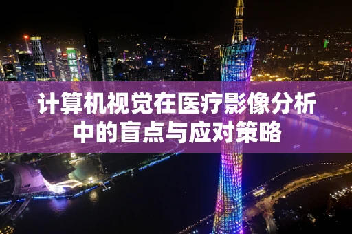 计算机视觉在医疗影像分析中的盲点与应对策略