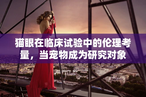 猫眼在临床试验中的伦理考量，当宠物成为研究对象