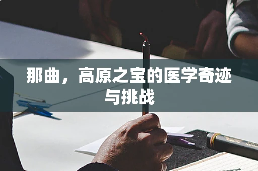 那曲，高原之宝的医学奇迹与挑战