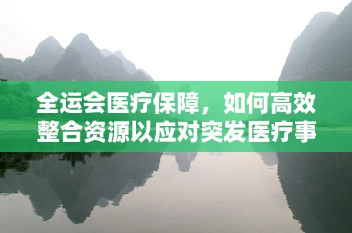全运会医疗保障，如何高效整合资源以应对突发医疗事件？