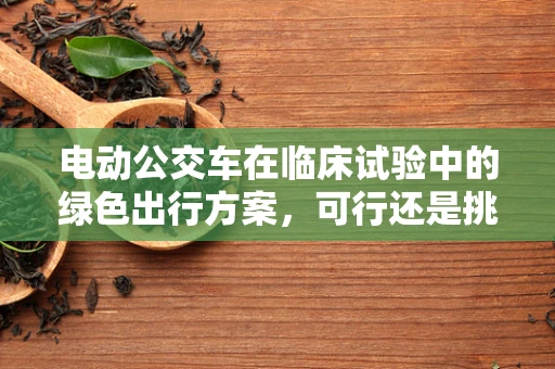 电动公交车在临床试验中的绿色出行方案，可行还是挑战？