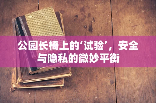 公园长椅上的‘试验’，安全与隐私的微妙平衡