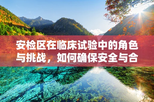 安检区在临床试验中的角色与挑战，如何确保安全与合规的平衡？