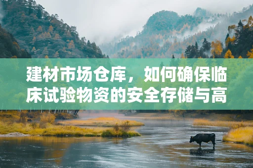 建材市场仓库，如何确保临床试验物资的安全存储与高效管理？