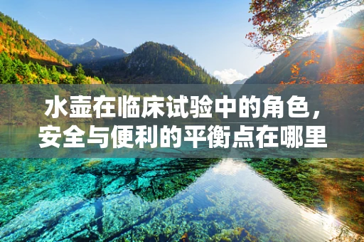 水壶在临床试验中的角色，安全与便利的平衡点在哪里？