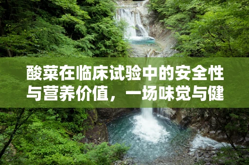 酸菜在临床试验中的安全性与营养价值，一场味觉与健康的探索
