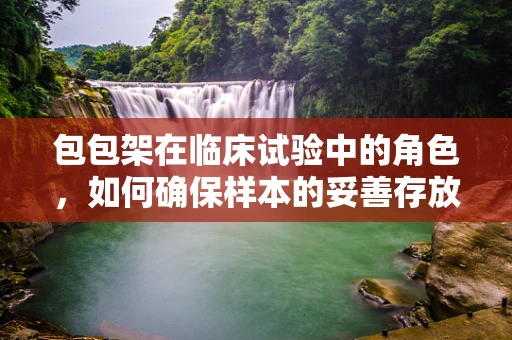 包包架在临床试验中的角色，如何确保样本的妥善存放与追踪？