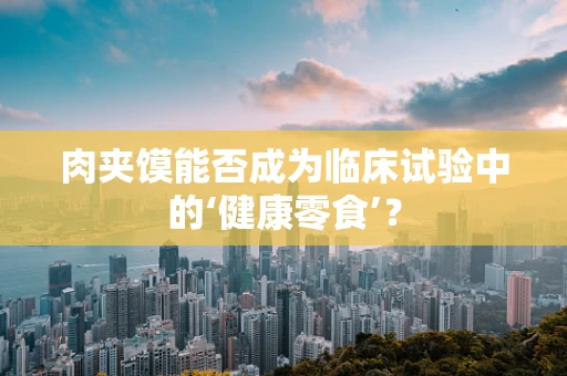 肉夹馍能否成为临床试验中的‘健康零食’？