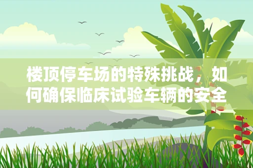 楼顶停车场的特殊挑战，如何确保临床试验车辆的安全与便捷？