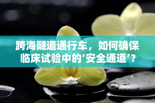 跨海隧道通行车，如何确保临床试验中的‘安全通道’？