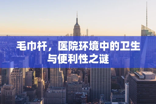 毛巾杆，医院环境中的卫生与便利性之谜