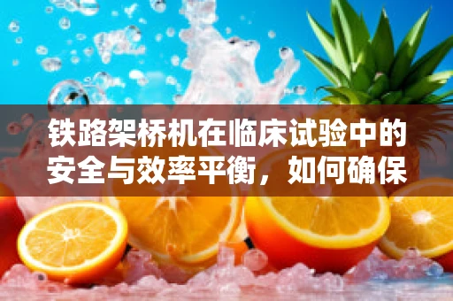 铁路架桥机在临床试验中的安全与效率平衡，如何确保精准操作？