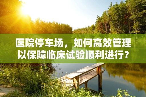 医院停车场，如何高效管理以保障临床试验顺利进行？