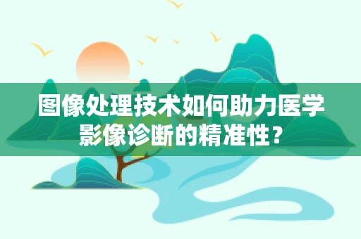 图像处理技术如何助力医学影像诊断的精准性？
