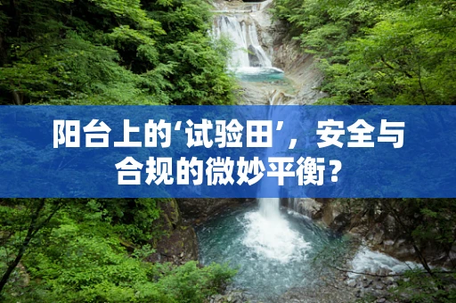 阳台上的‘试验田’，安全与合规的微妙平衡？