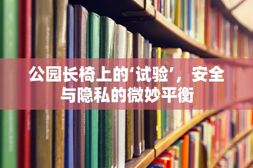 公园长椅上的‘试验’，安全与隐私的微妙平衡
