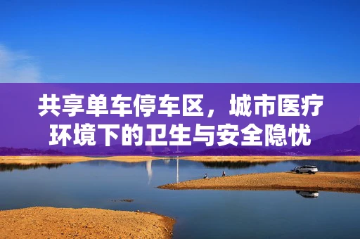 共享单车停车区，城市医疗环境下的卫生与安全隐忧
