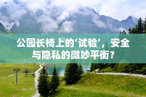 公园长椅上的‘试验’，安全与隐私的微妙平衡？