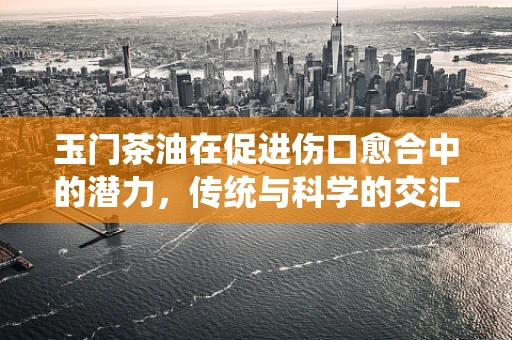 玉门茶油在促进伤口愈合中的潜力，传统与科学的交汇