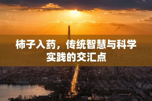 柿子入药，传统智慧与科学实践的交汇点