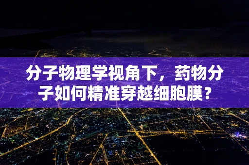 分子物理学视角下，药物分子如何精准穿越细胞膜？