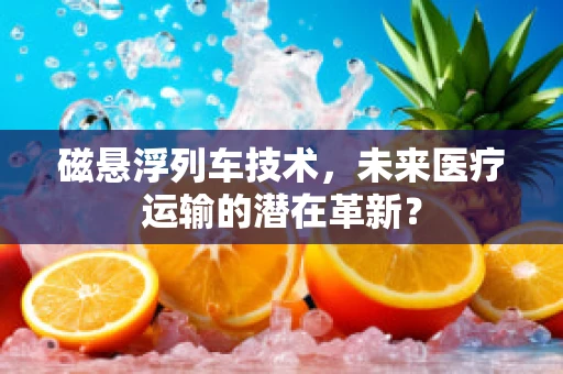 磁悬浮列车技术，未来医疗运输的潜在革新？