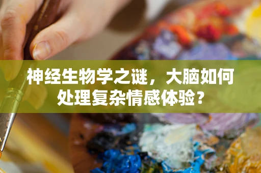 神经生物学之谜，大脑如何处理复杂情感体验？