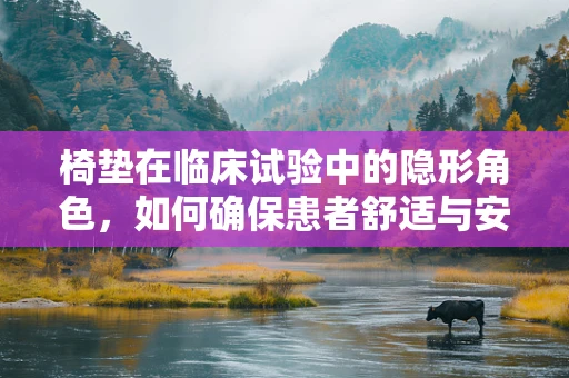椅垫在临床试验中的隐形角色，如何确保患者舒适与安全？