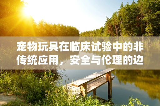 宠物玩具在临床试验中的非传统应用，安全与伦理的边界？