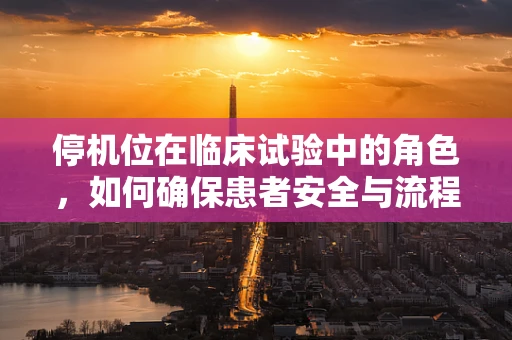 停机位在临床试验中的角色，如何确保患者安全与流程高效？