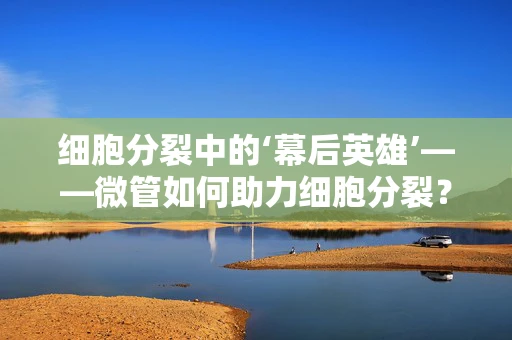 细胞分裂中的‘幕后英雄’——微管如何助力细胞分裂？