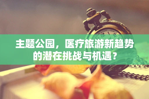 主题公园，医疗旅游新趋势的潜在挑战与机遇？