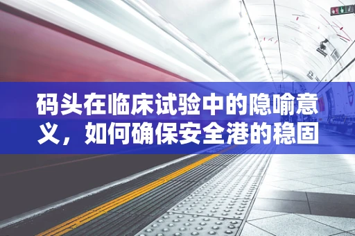 码头在临床试验中的隐喻意义，如何确保安全港的稳固？
