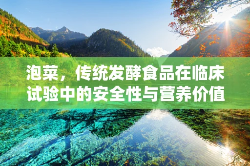 泡菜，传统发酵食品在临床试验中的安全性与营养价值考量