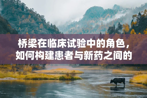 桥梁在临床试验中的角色，如何构建患者与新药之间的安全通道？