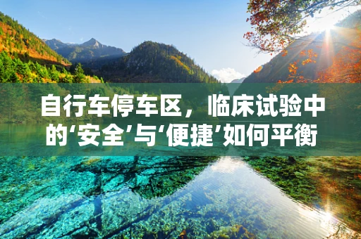 自行车停车区，临床试验中的‘安全’与‘便捷’如何平衡？