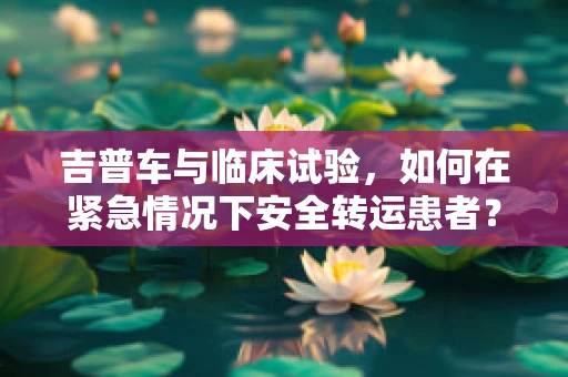 吉普车与临床试验，如何在紧急情况下安全转运患者？