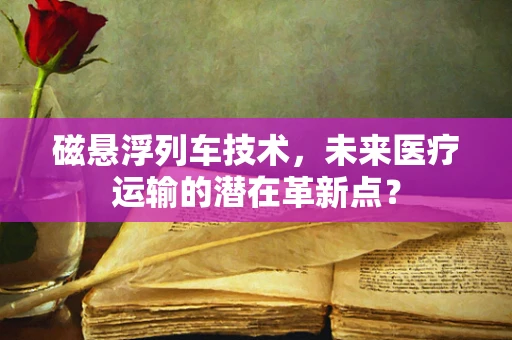 磁悬浮列车技术，未来医疗运输的潜在革新点？