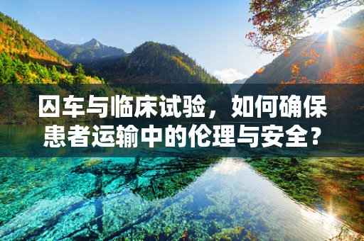 囚车与临床试验，如何确保患者运输中的伦理与安全？