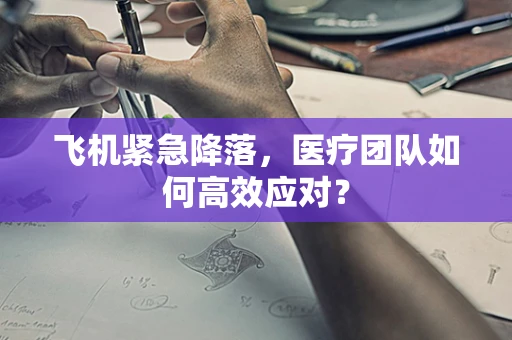 飞机紧急降落，医疗团队如何高效应对？