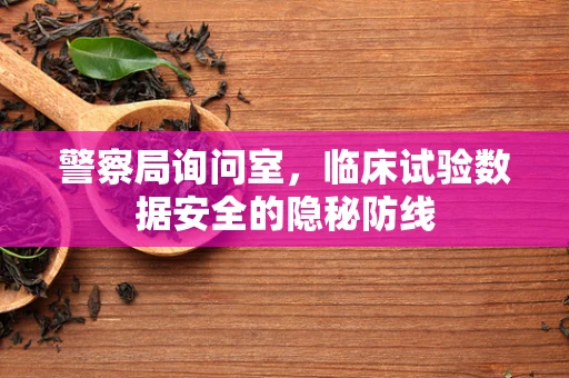 警察局询问室，临床试验数据安全的隐秘防线